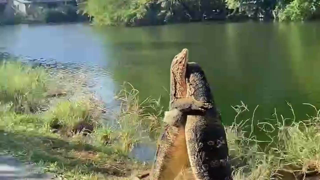 when you haven’t seen your best friend for a long time