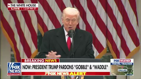 HAHA: Trump pardons Thanksgiving turkeys — then takes PERFECT jab at Joe Biden