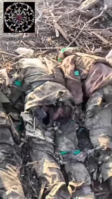 Wholesale shipment of carrion from Chasy Yar