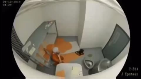 Did Jeffrey Epstein Really Kill Himself? (Fake Video Posted by DOJ!)