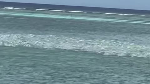 This is Epic! Forget Waders, We Need Fishing Boats for This Many Fish!