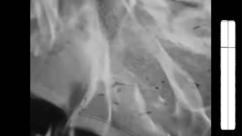 Cruxxx - Philosophy in Ruins