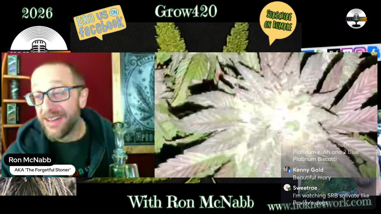 Grow420 Episode 98