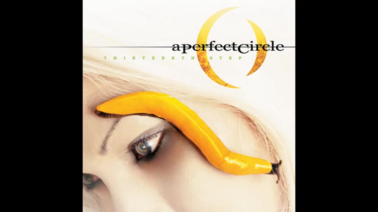 A PERFECT CIRCLE - Thirteenth Step