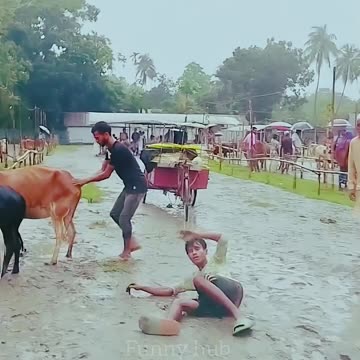 Try Not To Laugh 😂😂😂