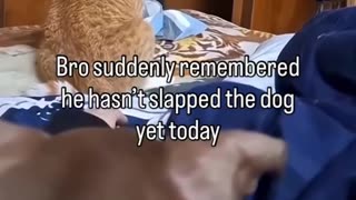 😂🐾 You Won't Believe This Hilarious Animal Threat! | FunFM