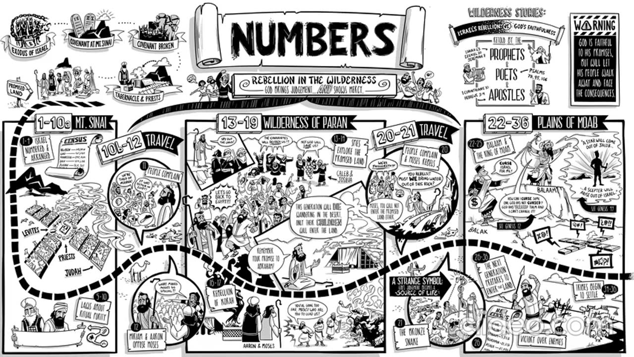 Numbers 35 - MacArthur (Bonus: Genesis 9)