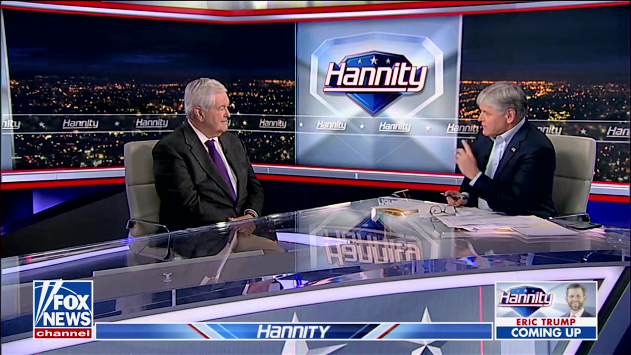 Newt Gingrich Shares 'Number One Thing' GOP Needs To Push Back Against Democrats