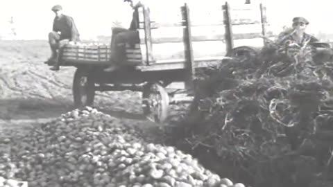 [FARM SCENES] - [FARM SCENES] - fc-fc-2210