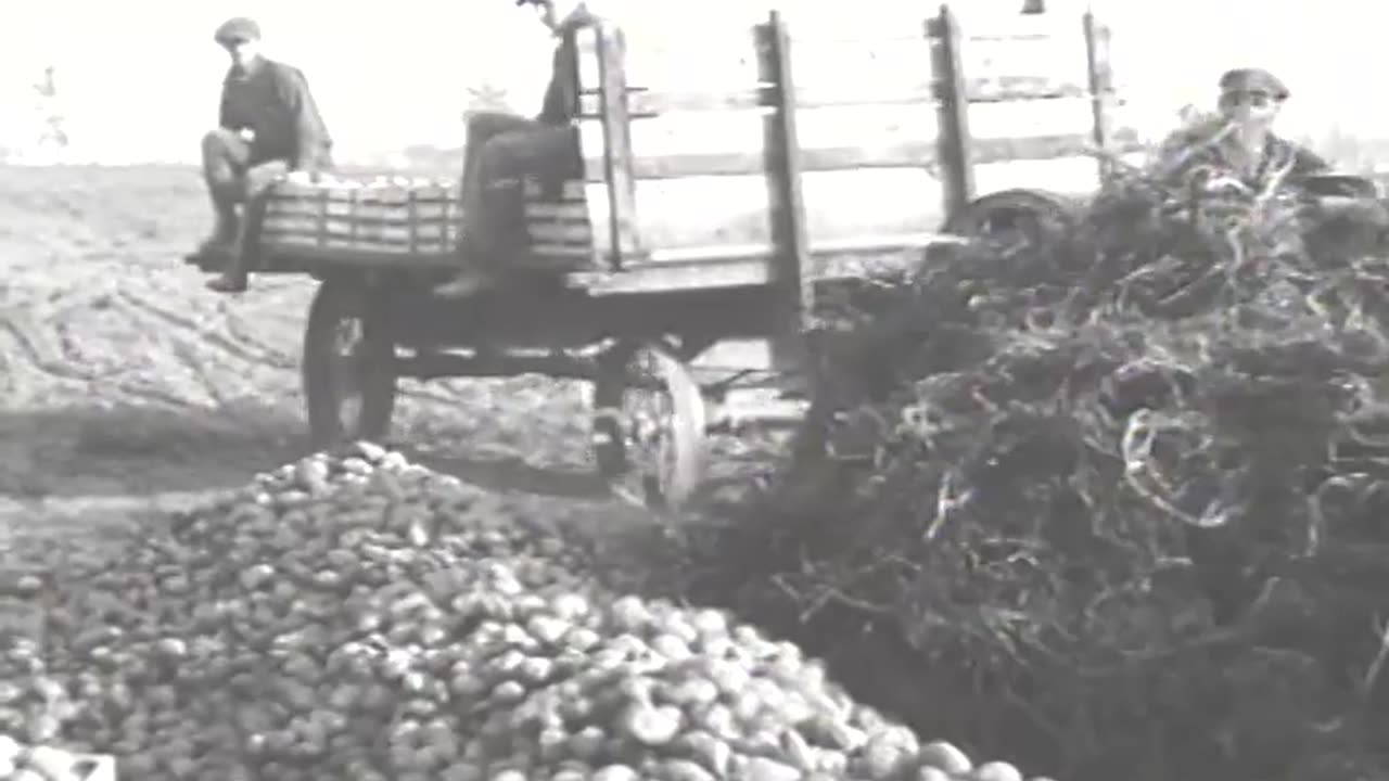 [FARM SCENES] - [FARM SCENES] - fc-fc-2210