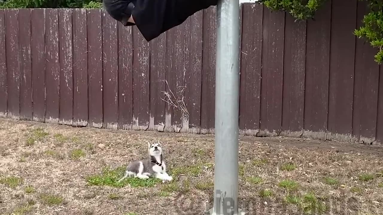 Parkour with Emojis. Pt5