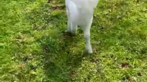 😱👻 You Won't Believe What They Capture on Camera! | TheHauntingHour