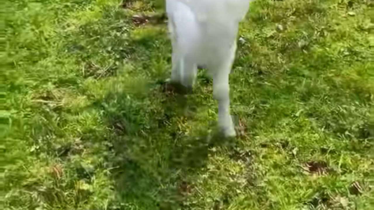 😱👻 You Won't Believe What They Capture on Camera! | TheHauntingHour