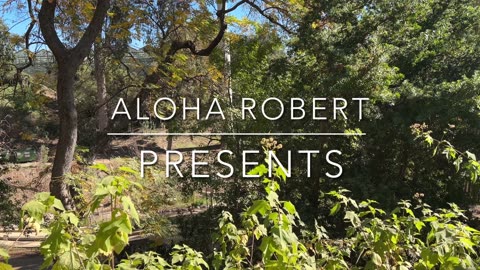 Walking virtual tour at the UCLA Mathias Botanical Garden in 4K.| By Aloha Robert