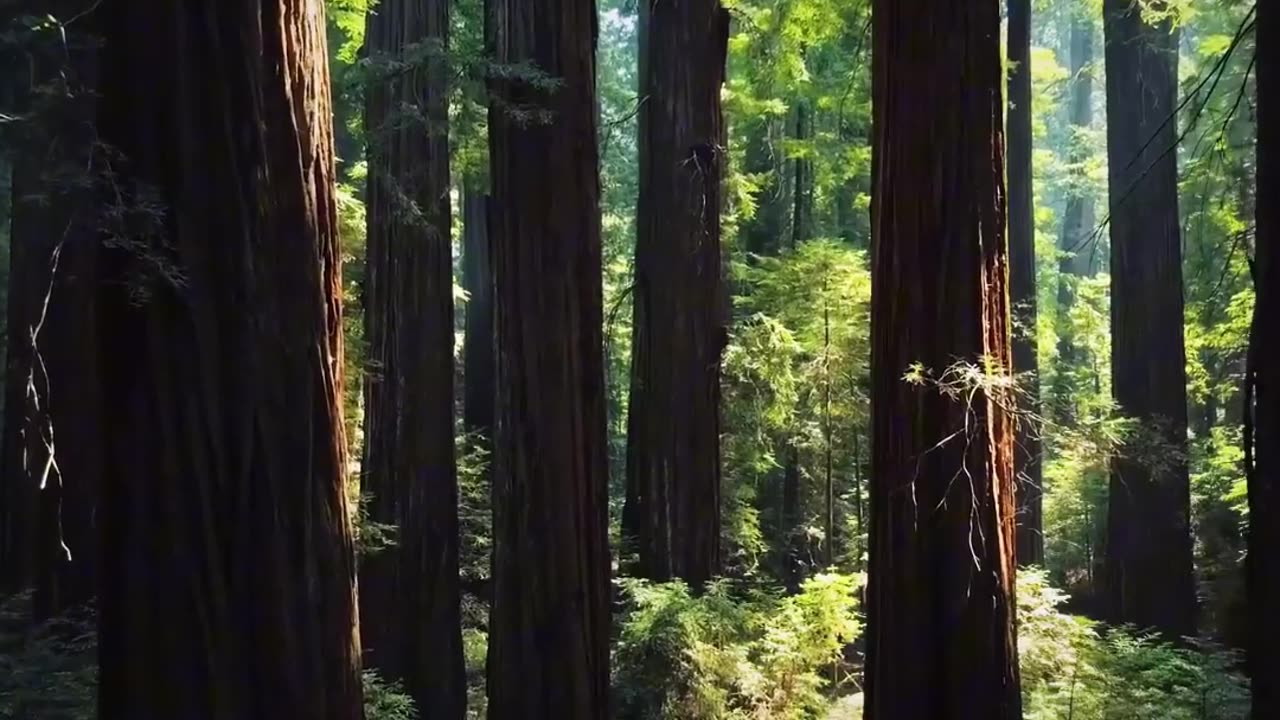 1 Persyaratan ABADI untuk Menjadi Milik Tuhan!