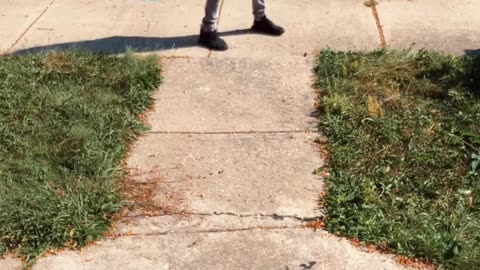 I wish she was my delivery driver!