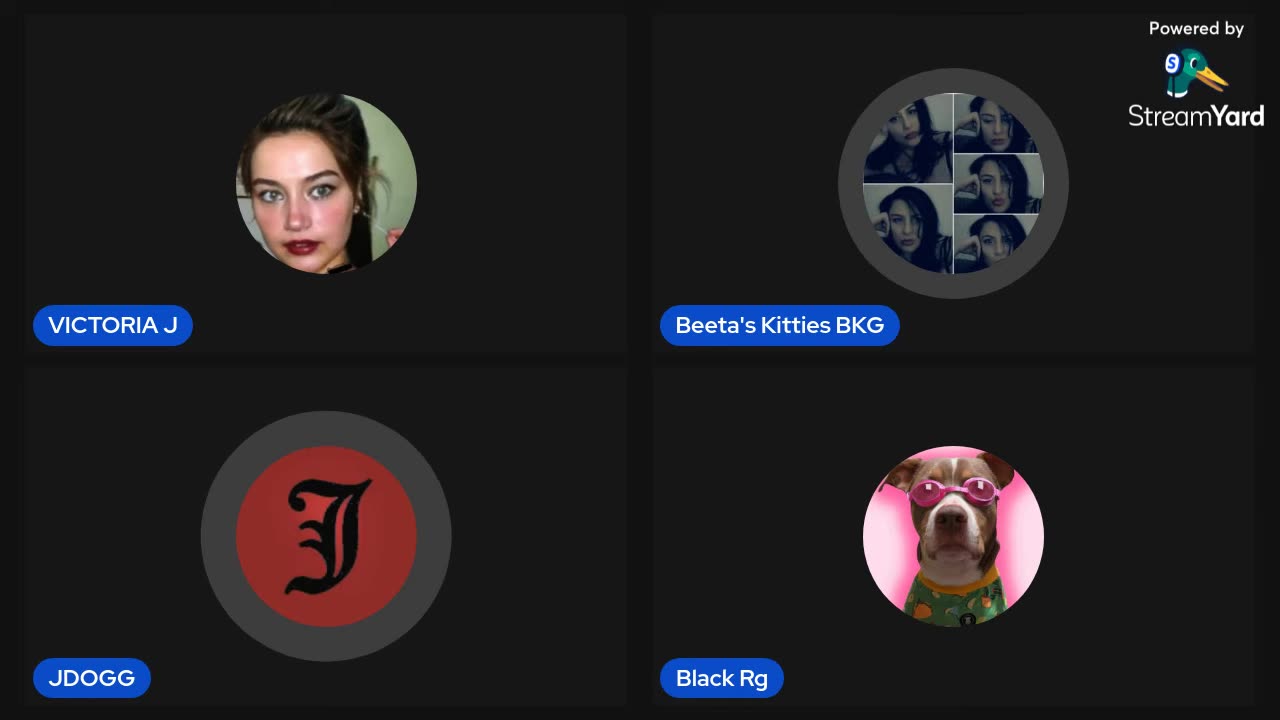 11/26/25 Beeta's Kitties VOD: "Back for another one"