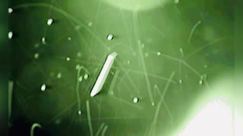 🤯🛸 IR Footage Reveals Hundreds of Orb-like Objects! | TheTruthAbove