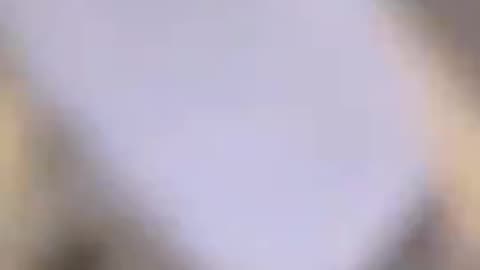 Israeli soldiers are so bold that they proudly upload their war crimes to TikTok