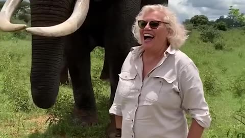 😂💦 Elephant Pranks Tourist in the Funniest Animal Moment You'll See | FeedMyCuriosity