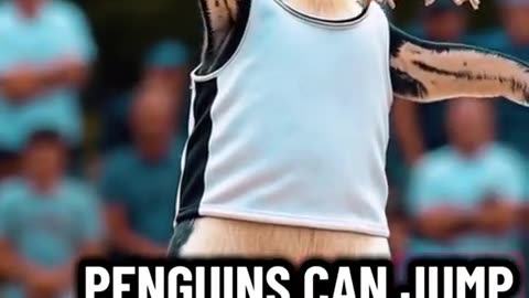 😂🐧 You Won't Believe These Penguin Fun Facts! | FunFM