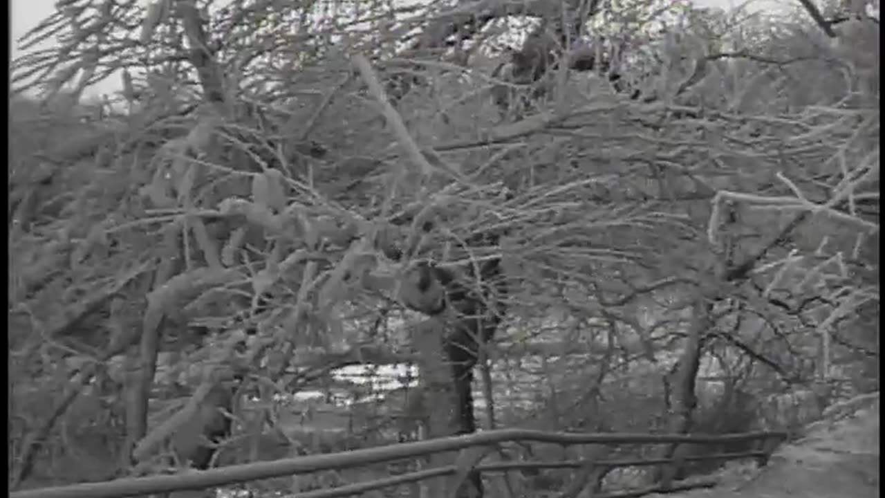 [NIAGARA FALLS IN WINTER] - [NIAGARA FALLS IN WINTER] - fc-fc-540