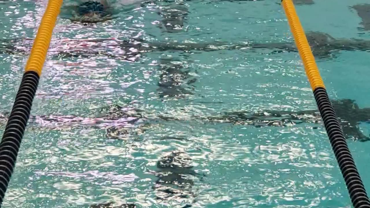 11 Oct 2025 - Fly clinic