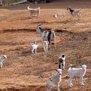 Drop your kids off at Daycare