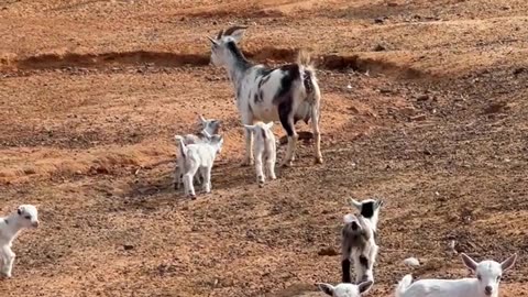 Drop your kids off at Daycare