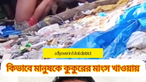 বাংলাদেশের বড় রেস্টুরেন্টে কুকুরের মাংসের রহস্য 😱 | Dog Meat Truth in Bangladesh 🇧🇩