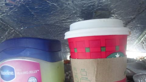 Talking About Six-Seven ( 67 ) and Vaseline. 11/18/2025.