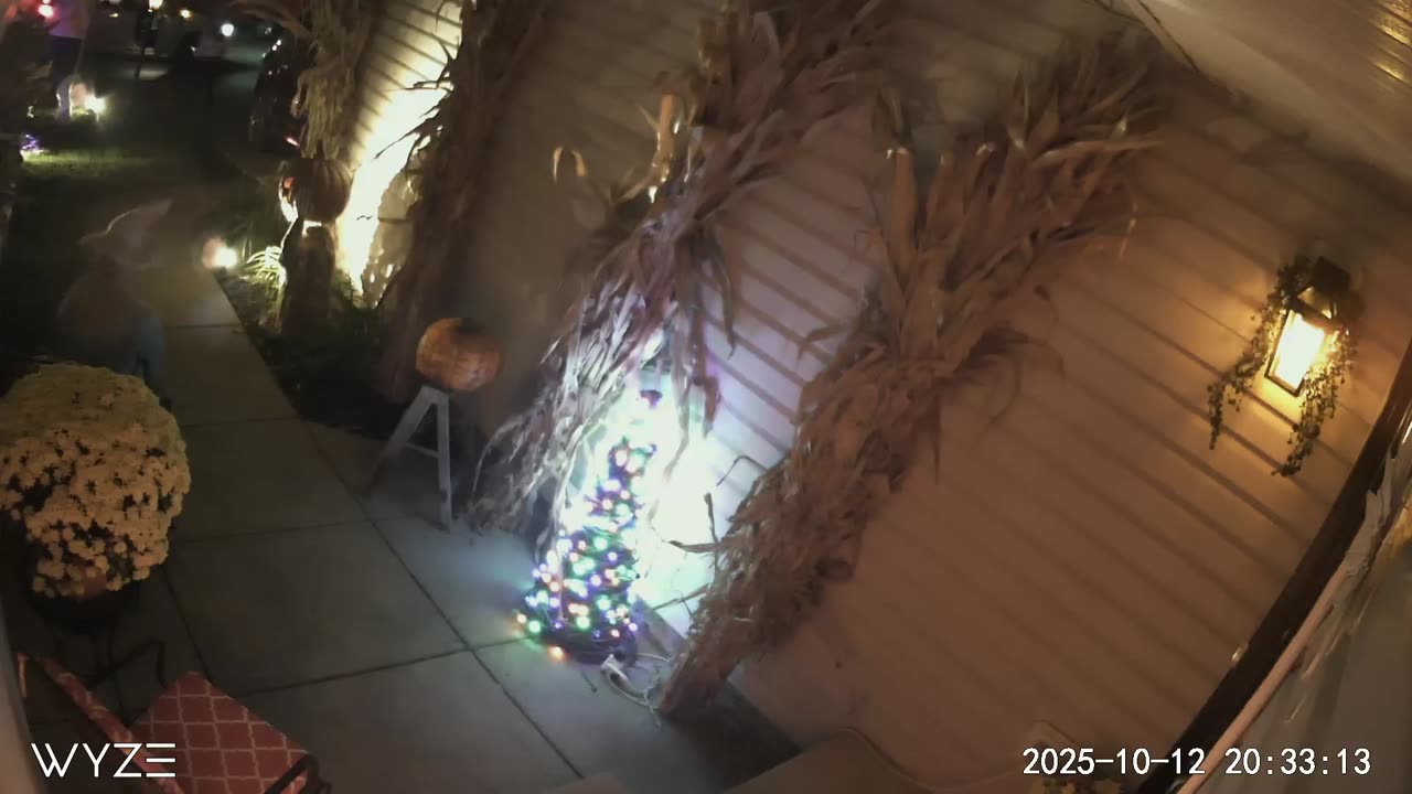 Amazon Delivery Driver Spooked By Halloween Decorations