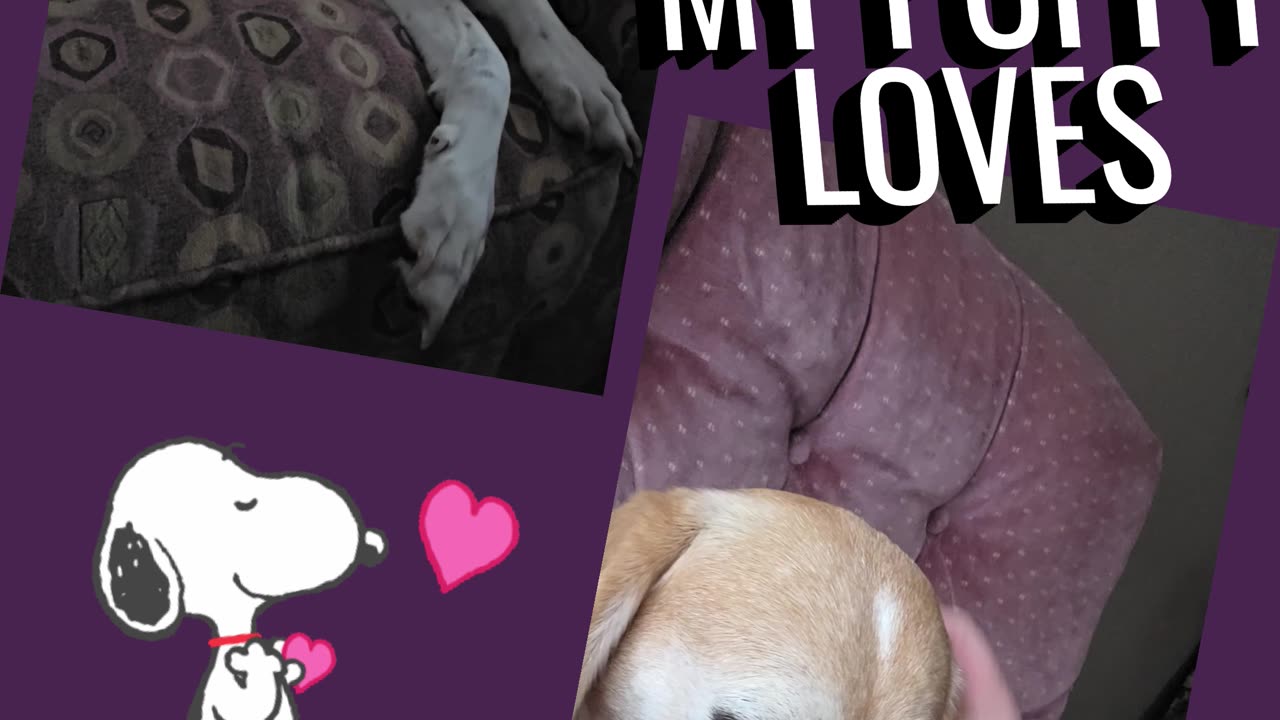 My Puppy Loves