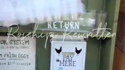 This is what jews stole from you