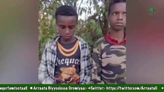 Qophii Addaa ONM-ABO Sadaasa 21-2025 itti dhiyaadhaa!