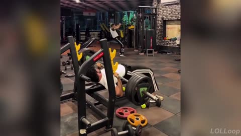 2025 Fails That Make Everyone Lose the Laugh Challenge 😂