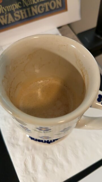 Trump lover like coffee.