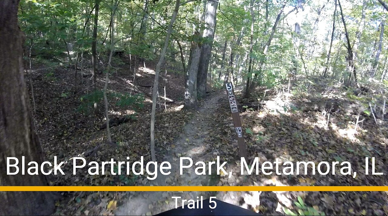 Black Partridge Park MTB trail - "5"