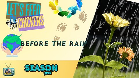 Before the Rain | Let's Feed the Chicken | E151