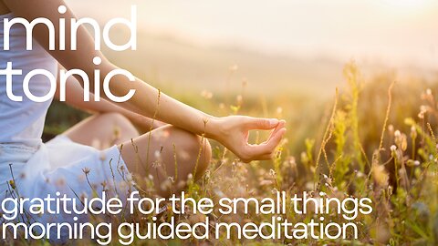 Gratitude for the small things - morning guided meditation