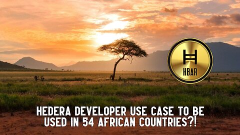 Hedera Developer Use Case To Be Used In 54 African Countries?!