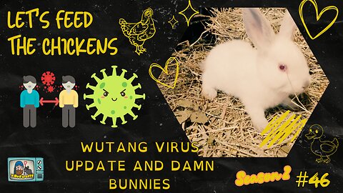 Wutang Virus update and Damn Bunnies | Let's Feed the Chickens | E46