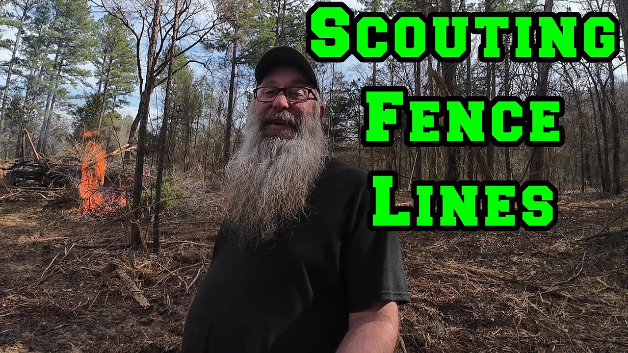 Scouting Fence Lines, Perimeter Obstacles, Gulley, Mud, | Shed To House Raw Land Arkansas Homestead