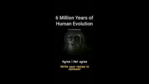 funnyvideos