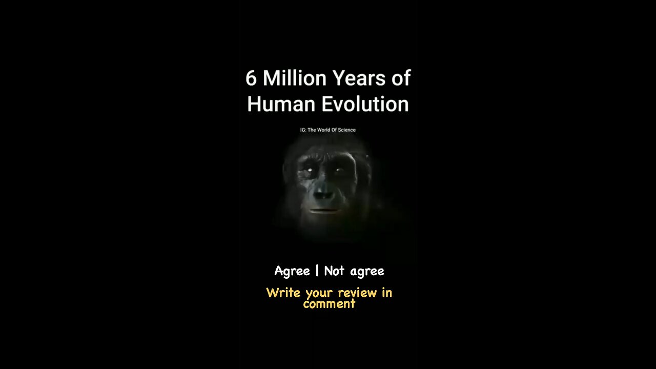 funnyvideos