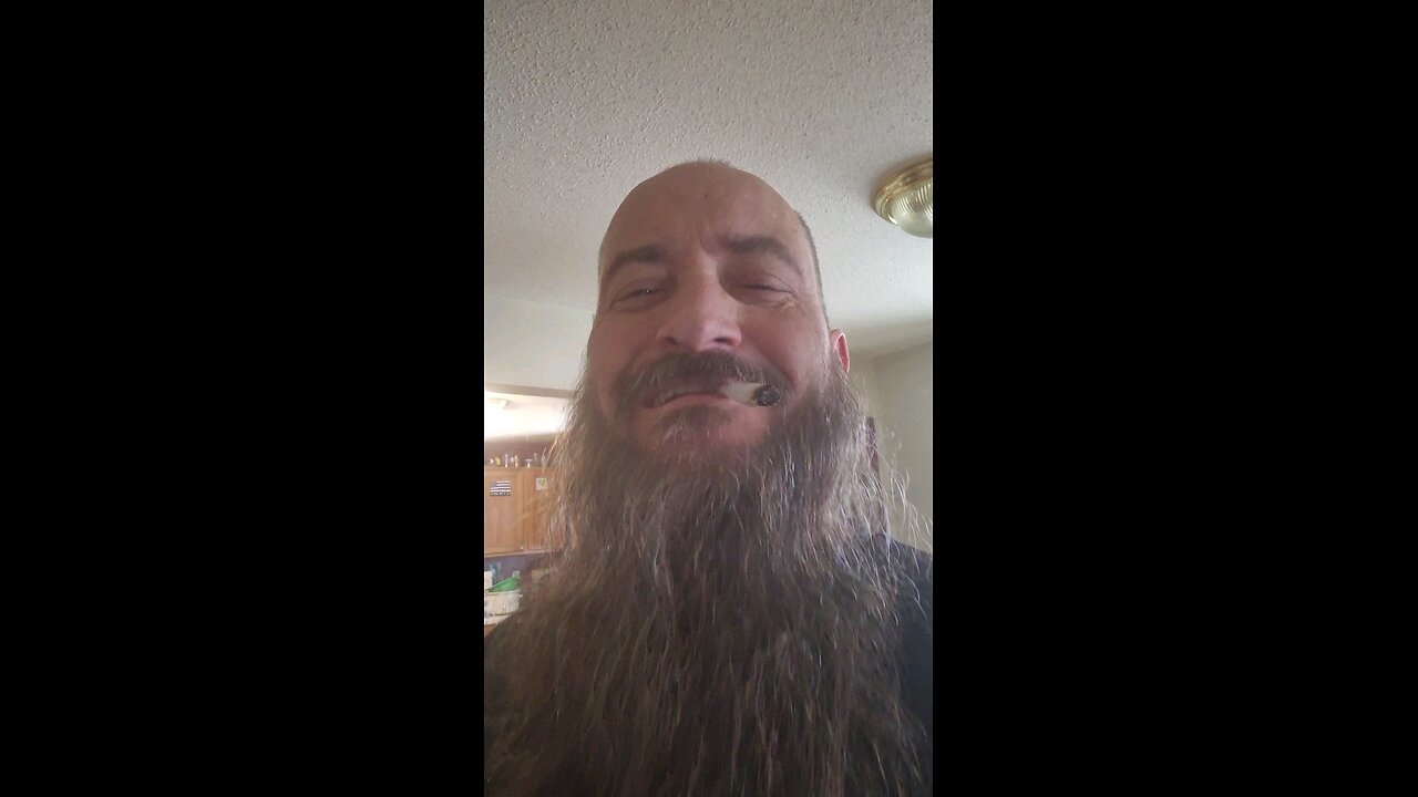 Daily Haircut Friday 3 7 25