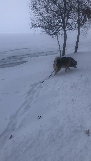 Monday January 5, I assure you, I am the gate for the sheep.