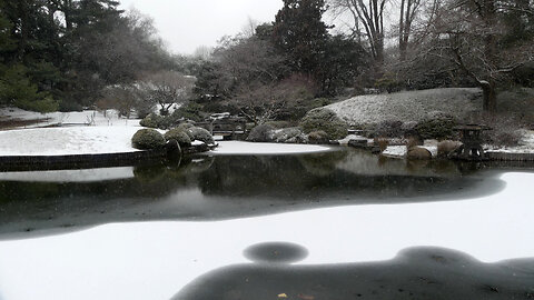 A snowy day in Brooklyn Botanic Garden