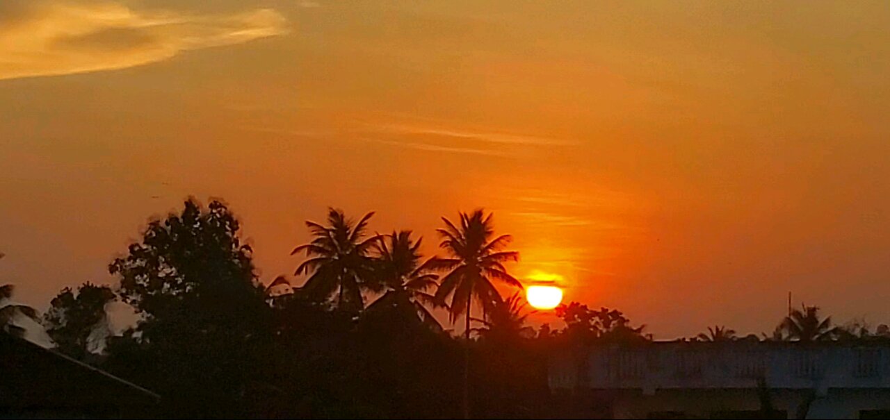 another day in paradise