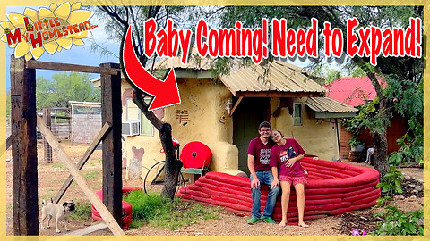 We're Pregnant! Time to Expand our Tiny Home? | Peek Ep409